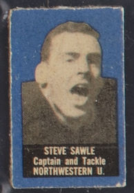 Steve Sawle
